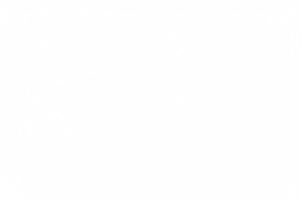 generate a plan white image